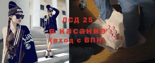 ГАЛЛЮЦИНОГЕННЫЕ ГРИБЫ Алзамай