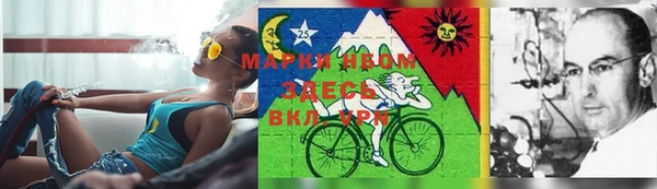ГАЛЛЮЦИНОГЕННЫЕ ГРИБЫ Алзамай