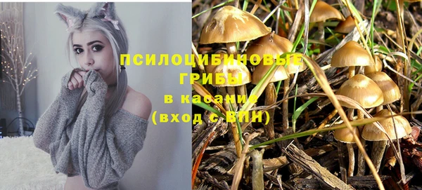 ГАЛЛЮЦИНОГЕННЫЕ ГРИБЫ Алзамай