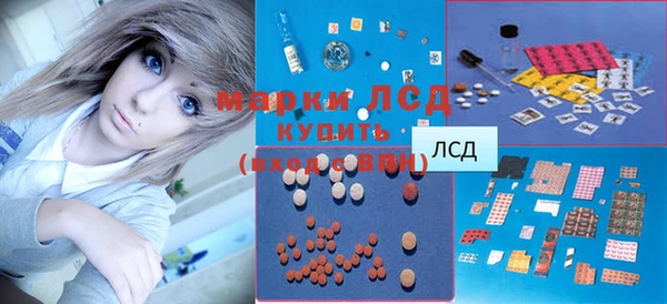 ГАЛЛЮЦИНОГЕННЫЕ ГРИБЫ Алзамай