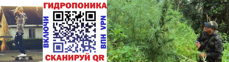 ссылка на мегу маркетплейс  Грязи  МАРИХУАНА THC 21% 